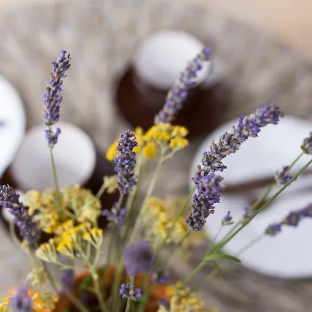 In - Insel Krk 35988 Apartamento Vrbnik (Primorje-Gorski Kotar)