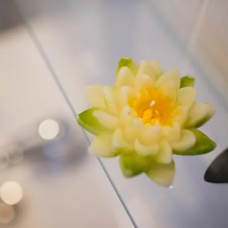 In - Insel Krk 35988 * 비르브닉